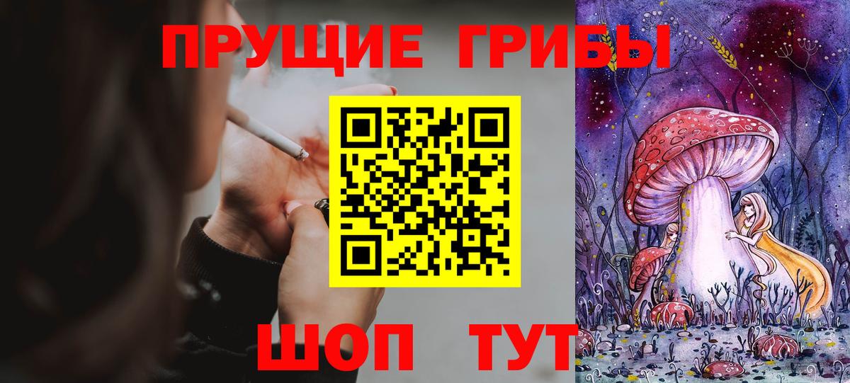 Псилоцибиновые грибы Psilocybine cubensis Тула